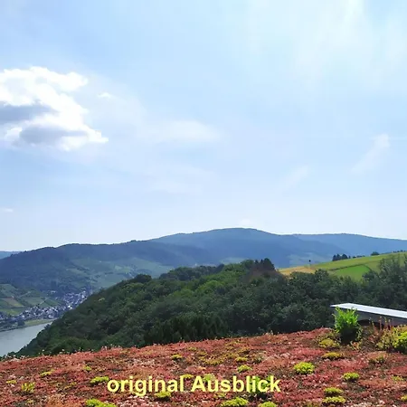 In Medenscheid Mit Garten Und Terrasse Διαμέρισμα Bacharach